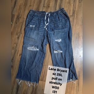 Lane Bryant Relaxed Fit Pull On Jeans in Blue